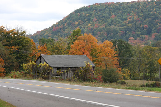 Image "Fall in Rural America " by Chad Foster
