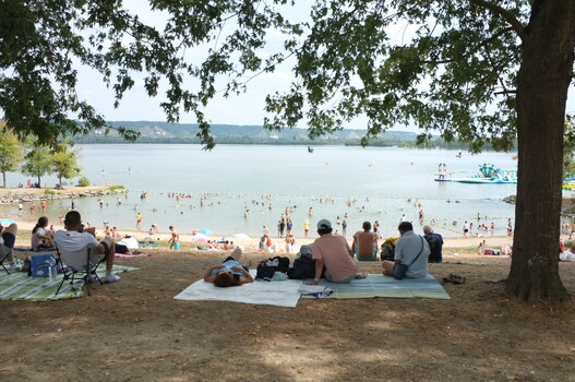 Beachgoers relaxing on sandy shore with lake and tree shade in foreground