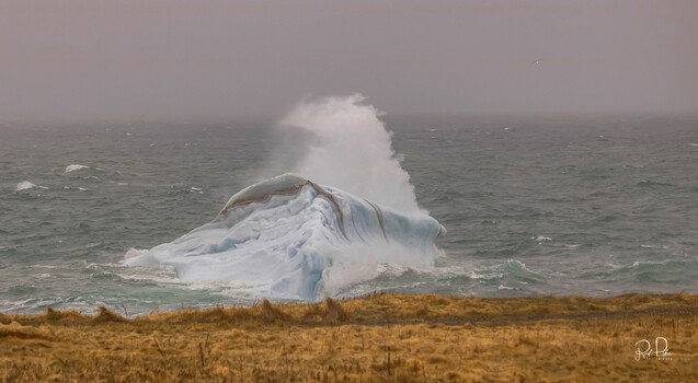 Image "Spring time ice near Bonavista, NL" by Rod Pike