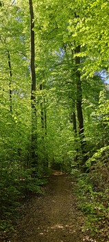 Image "Sometimes on a hike " by Jay Heuer