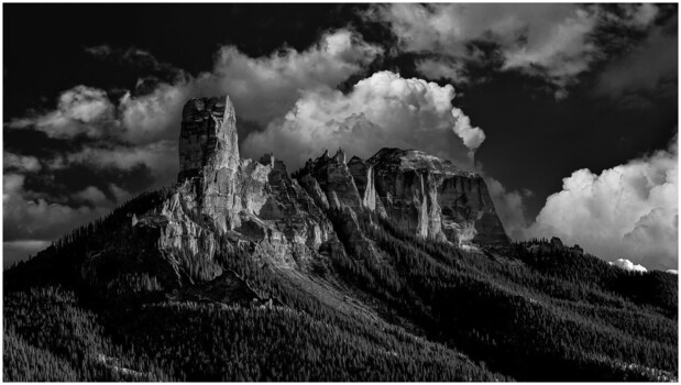 Image "Majestic Presence" by Scott Humphrey