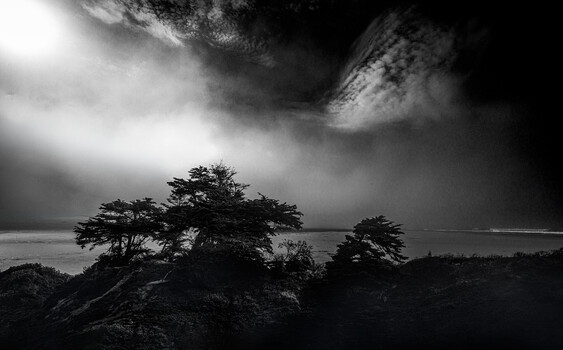 Image "Elements of Design" by Scott Humphrey