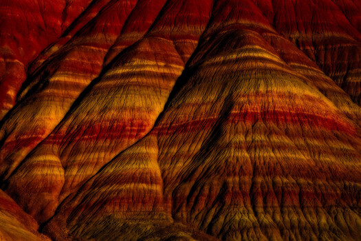 Image "Natures Design" by Scott Humphrey