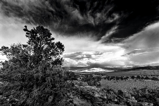 Image "Sentinel" by Scott Humphrey