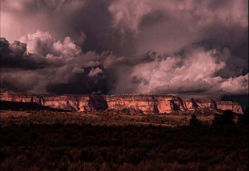 Image "No Exaggeration" by Scott Humphrey