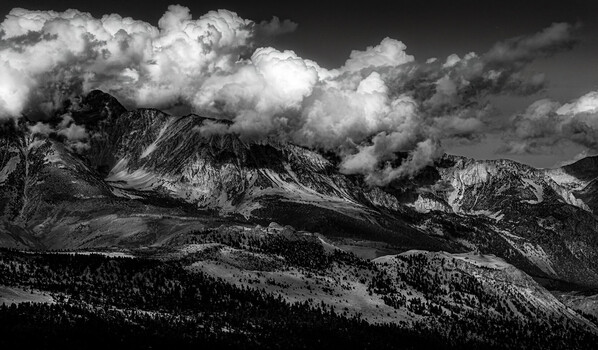 Image "Force of Expression" by Scott Humphrey