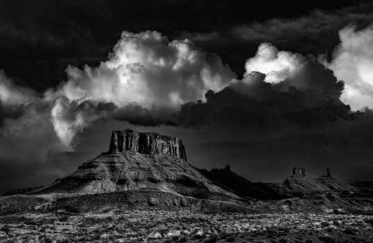 Image "Mr. Magnificent " by Scott Humphrey