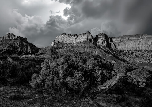 Image "Escape" by Scott Humphrey