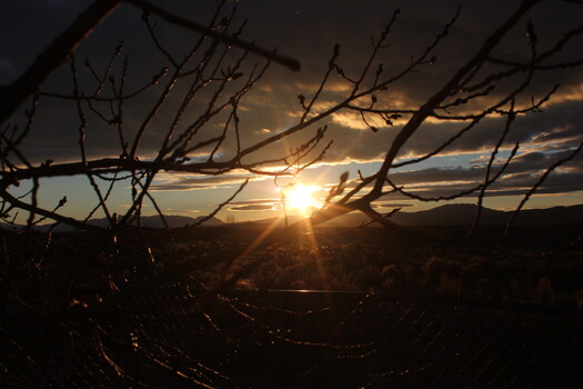 Image "Nevada Desert Sunset" by Tye Fonger