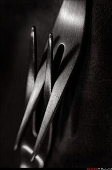 Image "Intertwined" by Will Santillo
