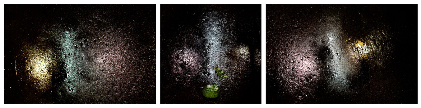 Image "Fleuriste" by Will Santillo
