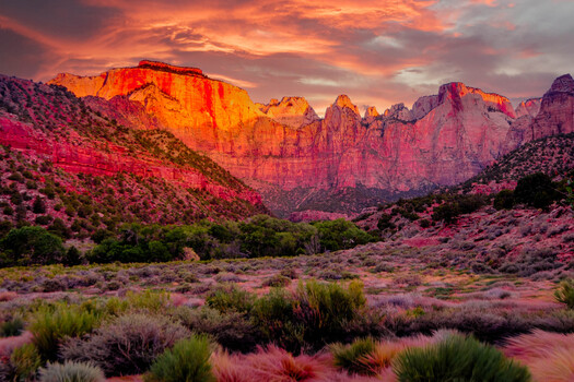 Image "Temples and Towers, Zion NP" by Bob Peterson