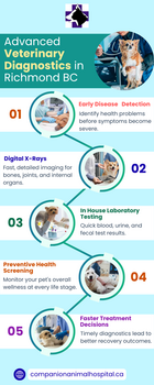 Image "Modern Veterinary Diagnostics for Dogs & Cats " by Companion Animal Hospital