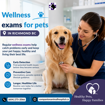 Image "Wellness Exams for Pets Richmond BC | Keep Your Pet Healthy" by Companion Animal Hospital