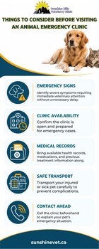 Image "Things to Consider Before Visiting an Animal Emergency Clinic" by Sunshine Hills Veterinary Clinic