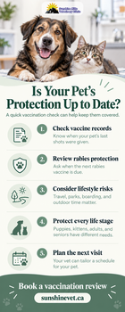 Image "Is Your Pet’s Protection Up to Date?" by Sunshine Hills Veterinary Clinic