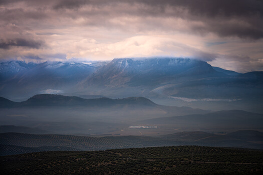 Image "Sierra Magina over olive trees" by Marie Salmeron-Serrano