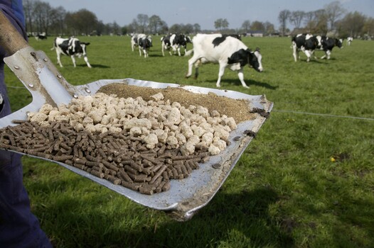 Image "Organic Fertilizer Pellet Machine" by RICHI Pellet Mill