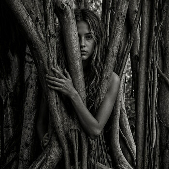 Image "From Within The Forest" by North American Roads