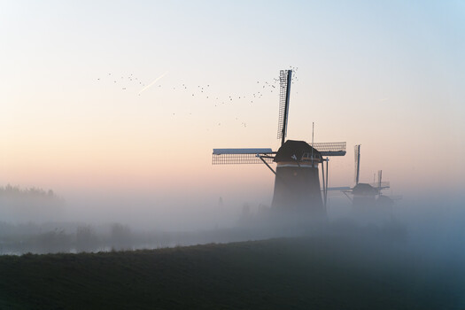 Image "Drie Molens at Dawn" by Siarhei Alkhovik