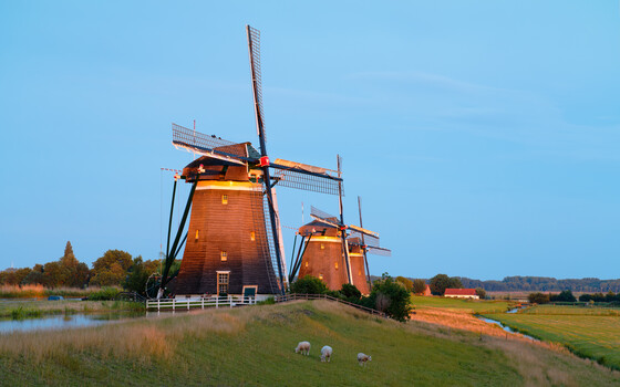 Image "Three Windmills, Three Sheep, Three Birds in Evening Light" by Siarhei Alkhovik