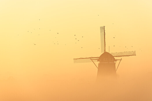 Image "Windmill Silhouette with Birds in Dawn Mist" by Siarhei Alkhovik
