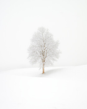 Image "Winter Overnight" by Siarhei Alkhovik