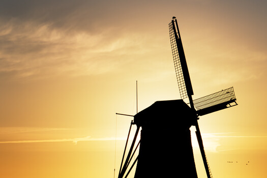Image "Perched at Sunrise" by Siarhei Alkhovik