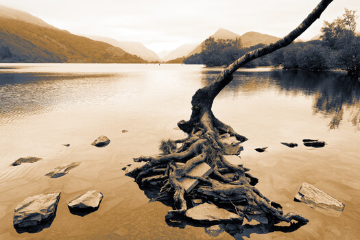 Image "The Lone Creature of Padarn" by Siarhei Alkhovik