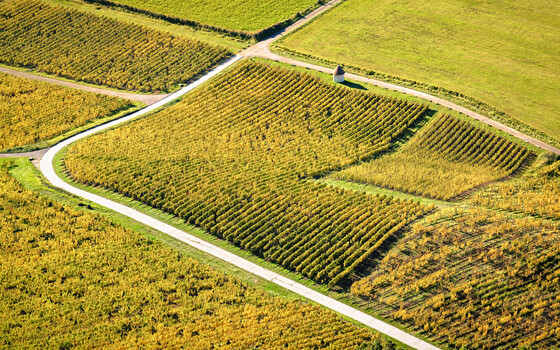 Image "Autumn in Jura: Vineyards Flow" by Siarhei Alkhovik