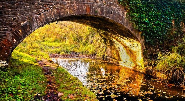 Image "Autumn sunlight under the bridge" by Pete Thomas
