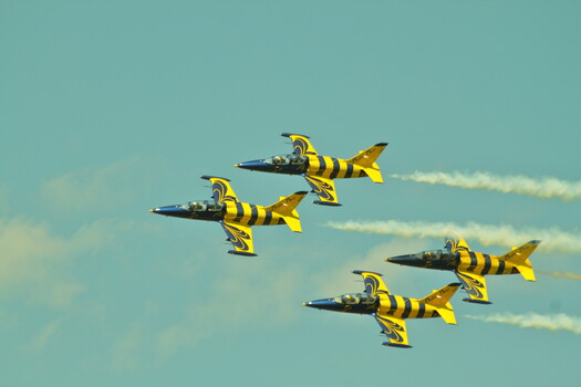 Image "BALTIC BEES" by Gianni Banino