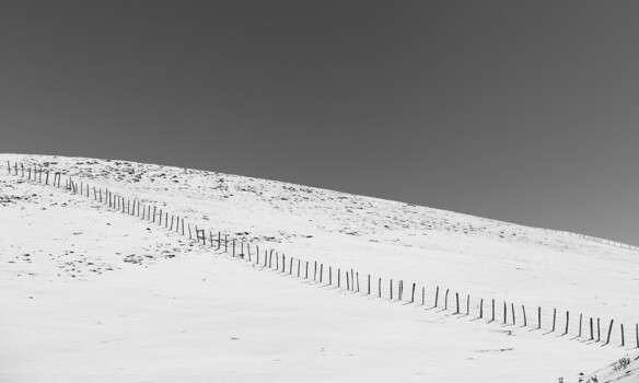 Image "Snow" by Farshad Shahani