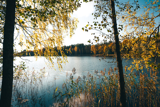 Image "Autumn lake" by Maximilian Ravique
