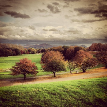 View Untitled 1 by Andre Kayser