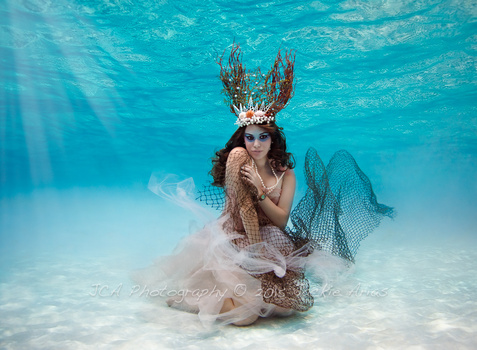 Image "Underwater Coral Beauty..." by Jackie Arias