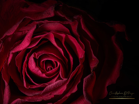 Image "On the Cusp" by Christopher Page