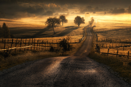 Image "Country Road" by Adnan Bubalo