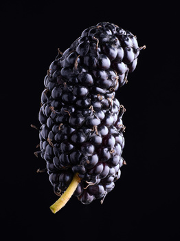 Image "Mulberry" by Alexandr Balakin