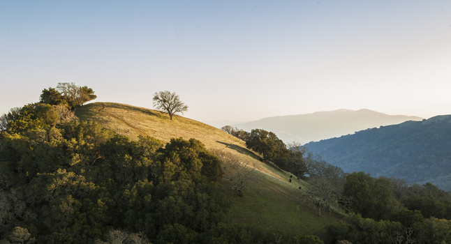 Image "Pleasanton" by Thomas Leibreich