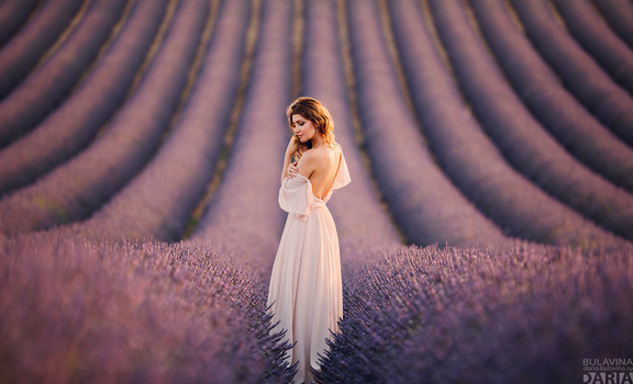 Image "Lavander Dreams" by Daria Bulavina