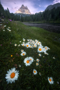 Image "Summer in Dolomites" by Ricardo Gayan