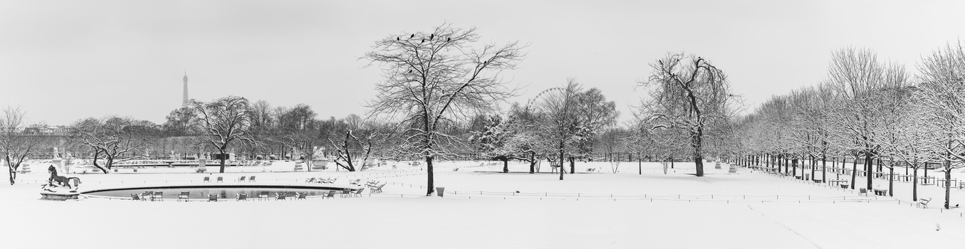 View Untitled 10 by Cedric BRULE