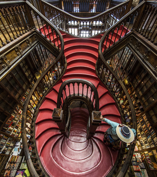 View Lello Bookshop by Pedro Pulido