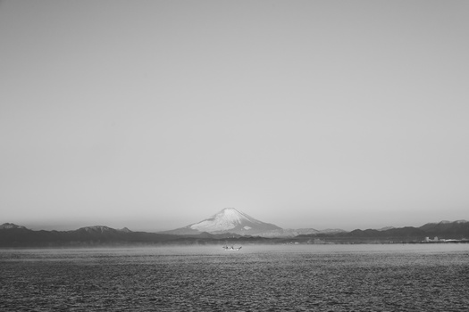 Image "Morning Catch" by Kento Watanabe