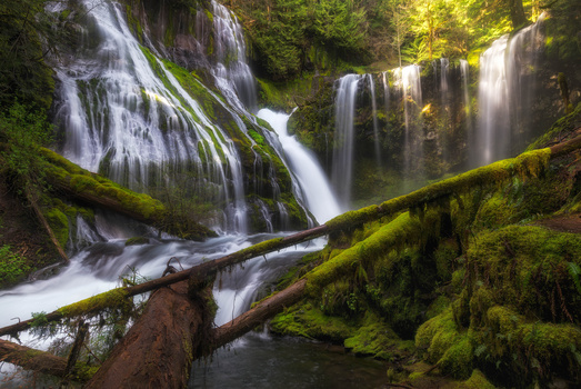 View Panther Creek Falls by Chris Ward