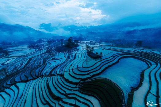 Image "Rice Terrace in water mode in blue hour" by Phuoc Le