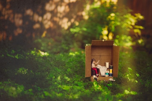 Image "Sox in a Box" by Amanda Campbell