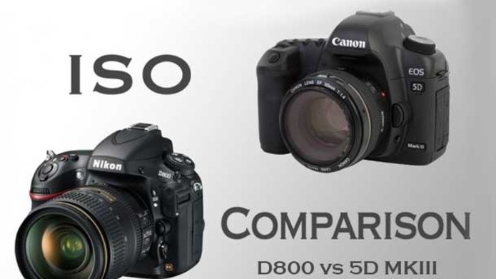 [Gear] Nikon D800 and Canon 5D MKIII ISO Samples | Fstoppers