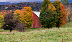 Three Tips for Photographing Fall Colors
